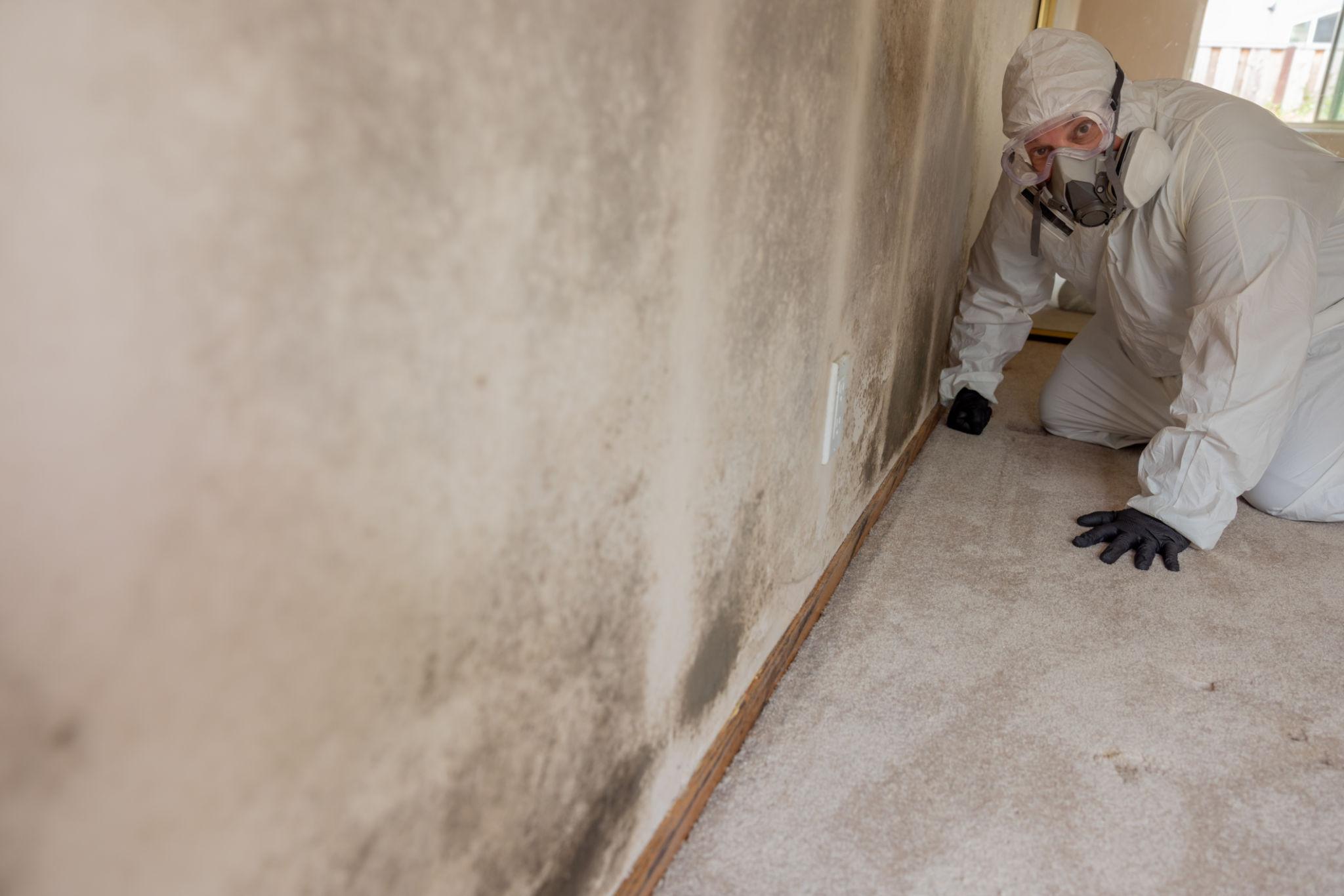 Black mold colonies discovered on joists during a hidden-mold crawl space inspection in an Anaheim home