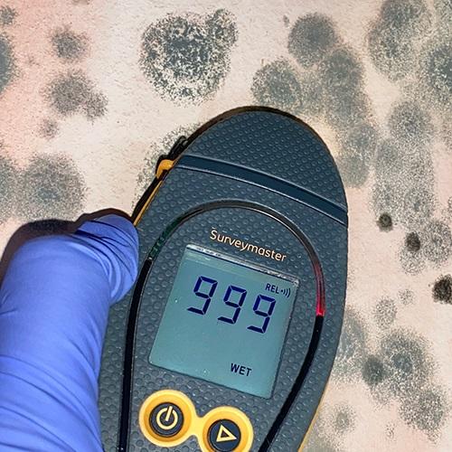 Certified technician using a moisture meter to assess mold-damaged area during a cost inspection in an Anaheim home